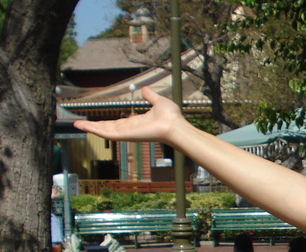 DSC01537.JPG